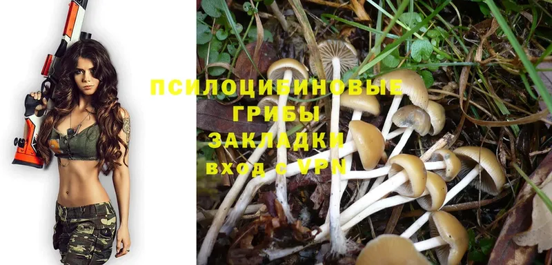 купить закладку  Ковров  Галлюциногенные грибы Psilocybine cubensis 